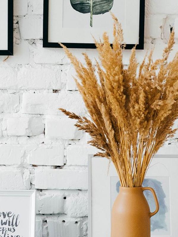 CONTABILIDAD GUBERNAMENTAL