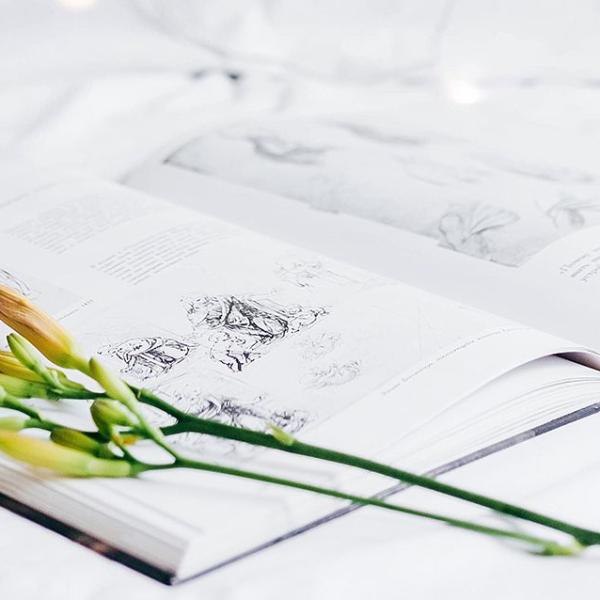 SEGURIDAD SOCIAL Y MANEJO DE OBRAS ANTE EL IMSS